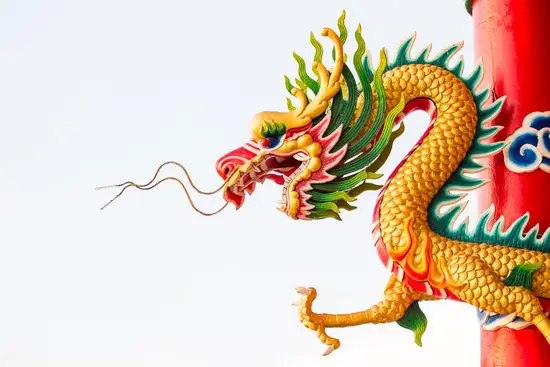 属龙1976有几个孩子(家庭规划与生育决策)