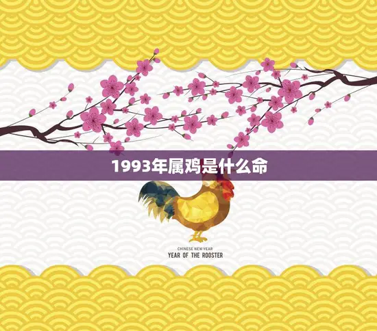 1993年属鸡是什么命(解析属鸡人的性格特点和运势)