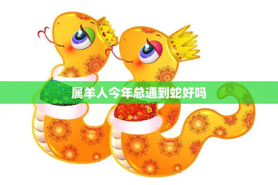 属羊人今年总遇到蛇好吗(解析2023年属羊人的运势)