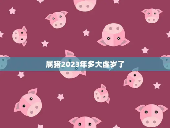 属猪2023年多大虚岁了(猪年生肖属相解析)