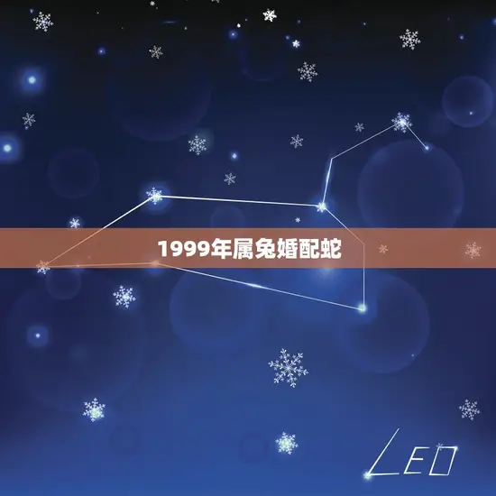 1999年属兔婚配蛇(兔蛇配对缘分天定如何相处)