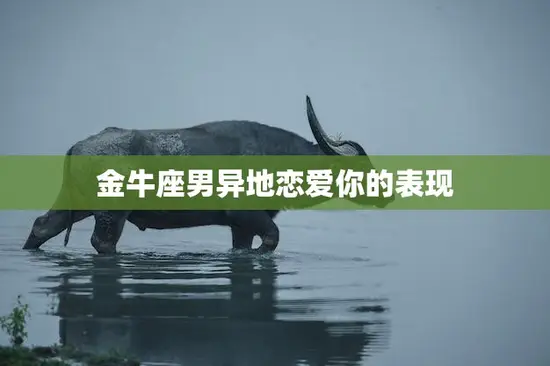 金牛座男异地恋爱你的表现(如何看出他的真心)