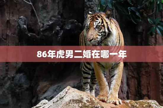 86年虎男二婚在哪一年(二婚时间揭晓虎男再次迎娶的那一年)