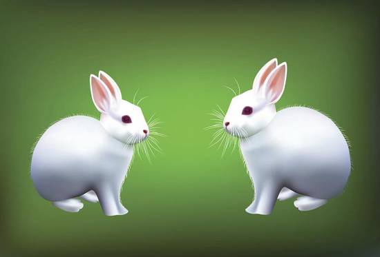 兔年生人2023年财运(展望财源滚滚财富不断涌现)