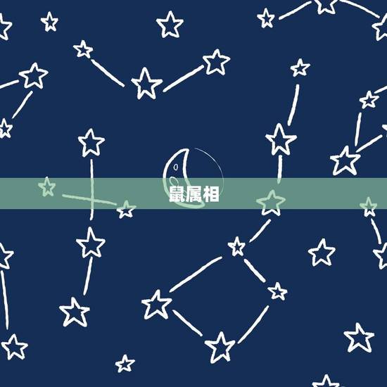 年月份生肖对照表属相(详解你的生肖是什么)