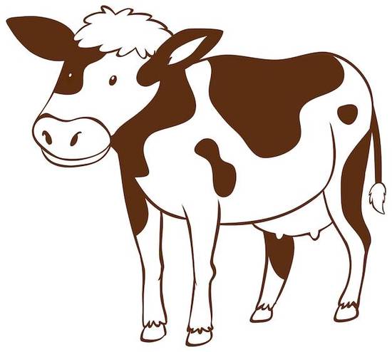 属牛人今日财运时间运势(财富时机正当)