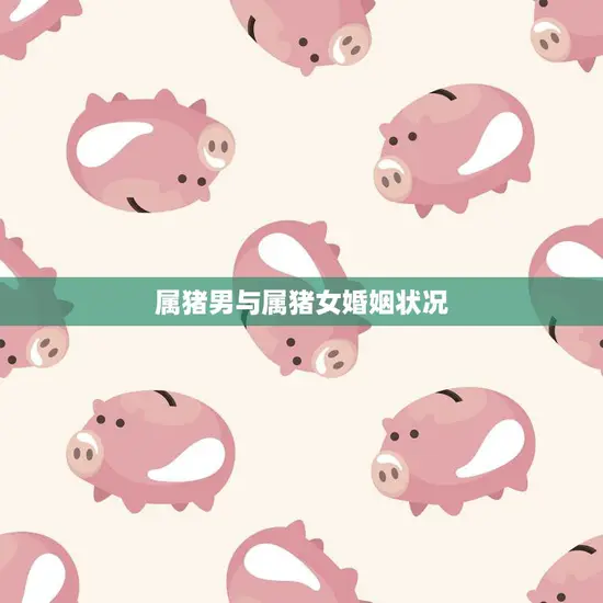 属猪男与属猪女婚姻状况(幸福还是不可行)