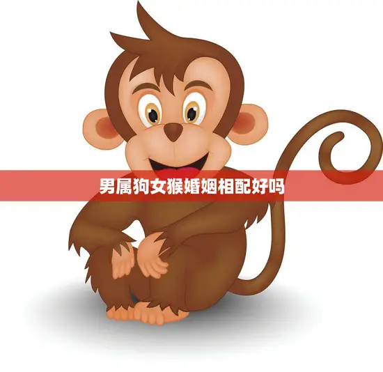 男属狗女猴婚姻相配好吗(解析星座专家告诉你)