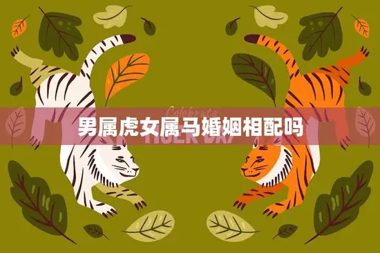 男属虎女属马婚姻相配吗(解析八字合不合)