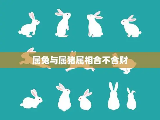 属兔与属猪属相合不合财(财运相合还是相克)