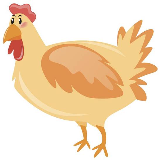 55属鸡的今年财运如何(解析2023年属鸡人财运大揭秘)