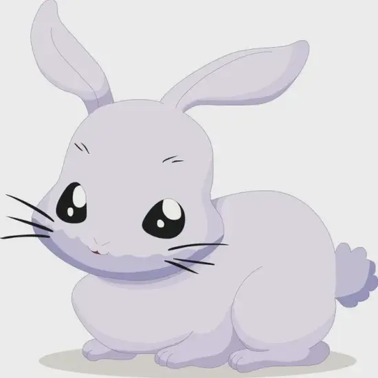 生肖兔健康管理