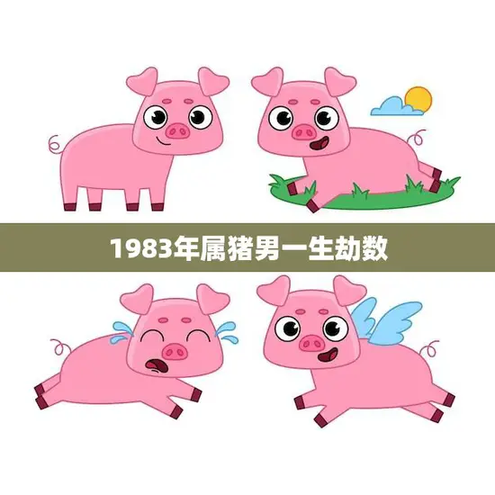 1983年属猪男一生劫数(如何化解)