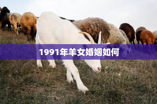 1991年羊女婚姻如何(婚姻运势解析爱情顺利但需注意沟通和包容)
