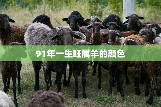 91年一生旺属羊的颜色(幸运色是什么)