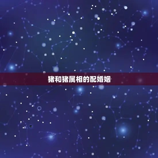 猪和猪属相配婚姻如何(幸福的方法)