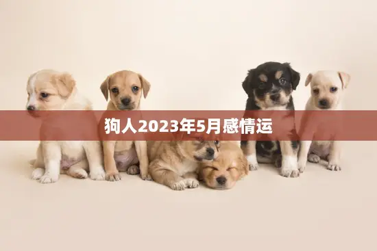 狗人2023年5月感情运(爱情甜蜜单身者有桃花运)