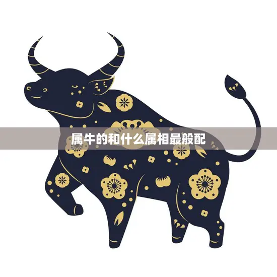 属牛的和什么属相最般配(十二生肖配对大揭秘)