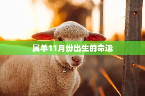 属羊11月份出生的命运(如何影响你的人生)
