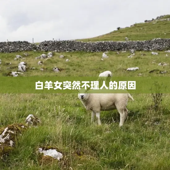 白羊女突然不理人的原因(解析情感疲惫还是性格使然)