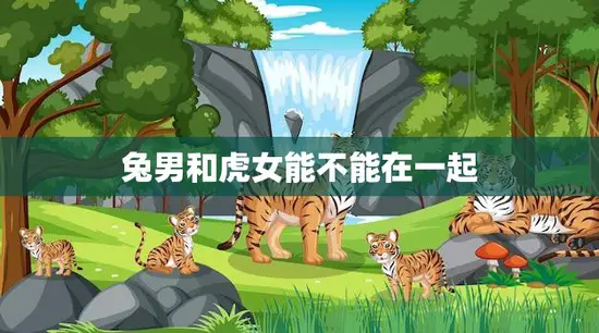 兔男和虎女能不能在一起(星座配对分析)