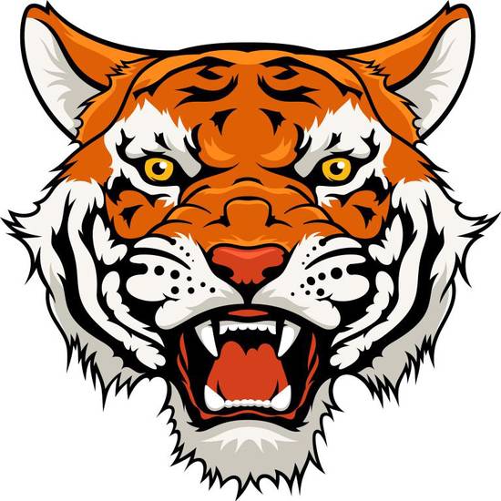 属虎的女人取名字最旺财(如何给女儿取名才能旺财)