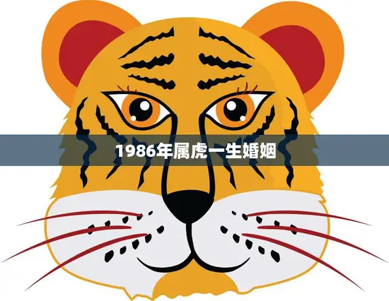 1986年属虎一生婚姻(幸福婚姻的秘诀)