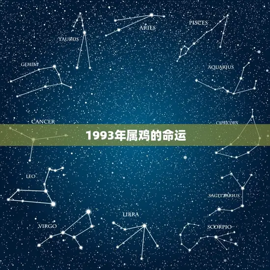 1993年属鸡的命运(如何在2023年迎接挑战)