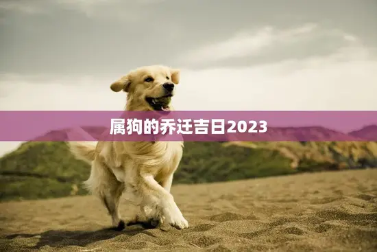 属狗的乔迁吉日2023(迎来新家的好日子)
