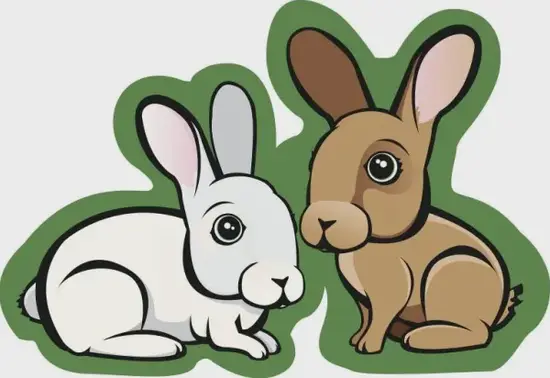 十二生肖心软排行