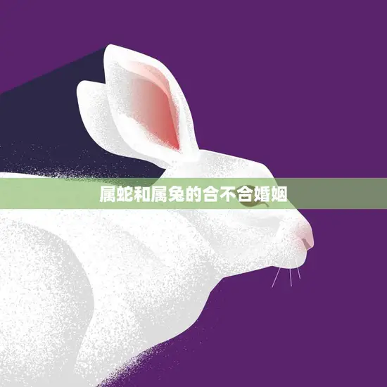 属蛇和属兔的合不合婚姻(如何避免兔蛇矛盾)