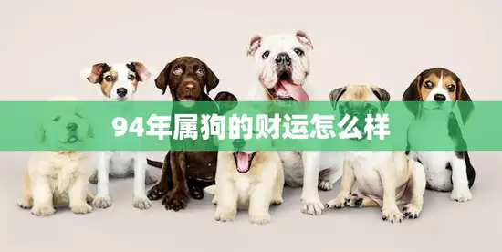 94年属狗的财运怎么样(解析财富运势大揭秘)