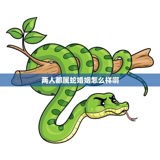 两人都属蛇婚姻怎么样啊(蛇年夫妻的缘分与挑战)