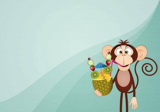 属猴子今年多大2023(猴年将至猴子们的年龄将迎来新变化)