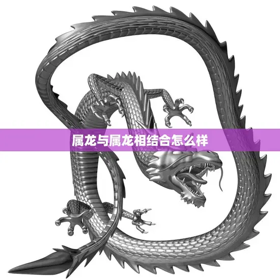 属龙与属龙相结合怎么样(神话还是现实)