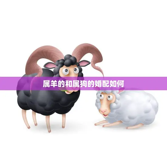 属羊的和属狗的婚配如何(解析星座配对的秘密)