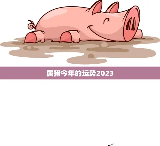 属猪今年的运势2023(猪年大吉财运亨通)