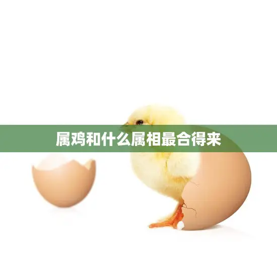 属鸡和什么属相最合得来(最佳配对大揭秘)