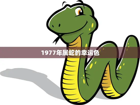 1977年属蛇的幸运色(揭秘如何选择适合自己的幸运色)