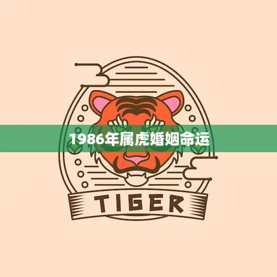 1986年属虎婚姻命运(如何避免婚姻危机)