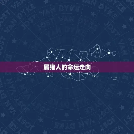 2023年属猪的年龄(猪年到你几岁)