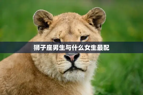 狮子座男生与什么女生最配(寻找最佳星座配对)