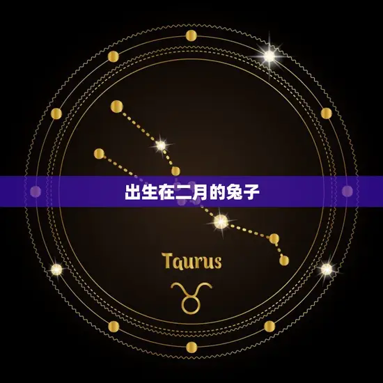 属兔上等命的出生月份(介绍哪些月份的兔子最有福气)