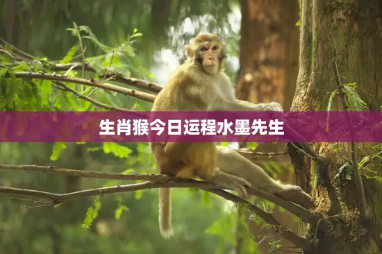 生肖猴今日运程水墨先生(解读好运连连)