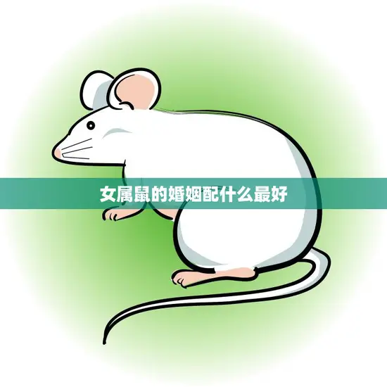 女属鼠的婚姻配什么最好(如何选择最佳配偶)