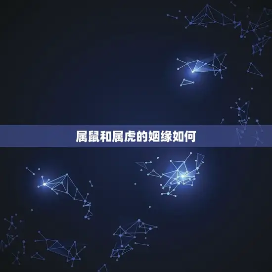属鼠和属虎的姻缘如何(介绍属鼠属虎的婚姻缘分)