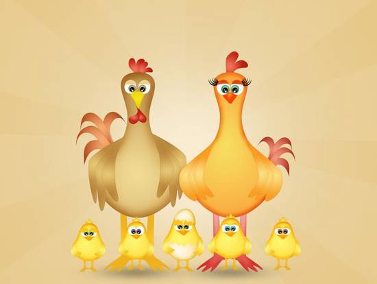 93年鸡什么时间有婚姻(解读鸡年婚姻运势)