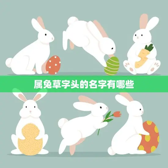 属兔草字头的名字有哪些(探寻兔年宝宝的好名字)
