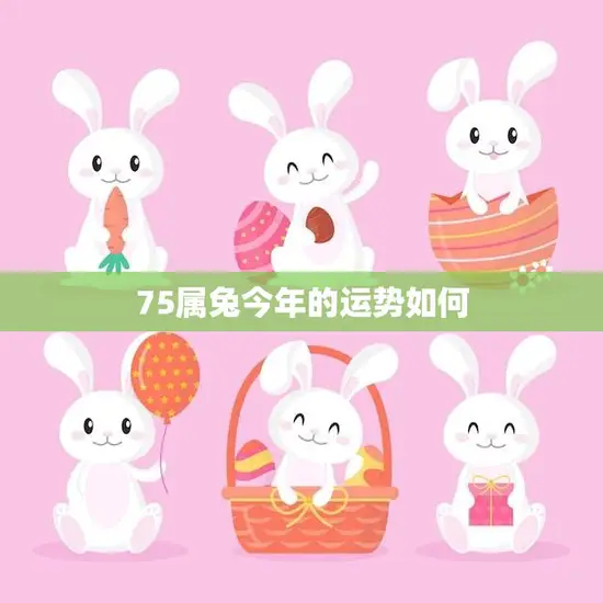 75属兔今年的运势如何(2023年兔子运势大揭秘)