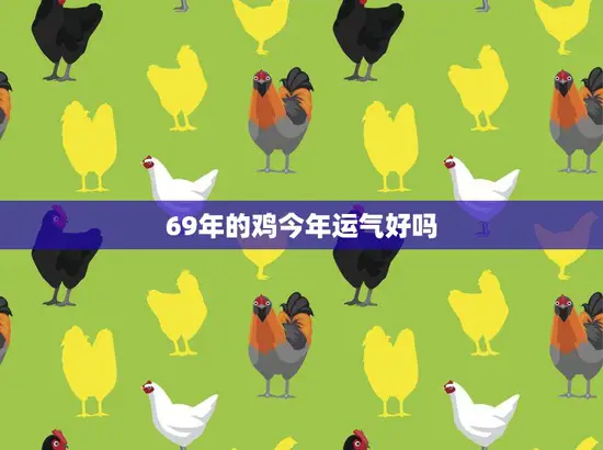 69年的鸡今年运气好吗(解析2023年属鸡的人运势如何)
